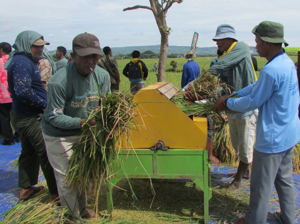 Unjuk Karya Petani Bojonegoro Di Awal Tahun 2015