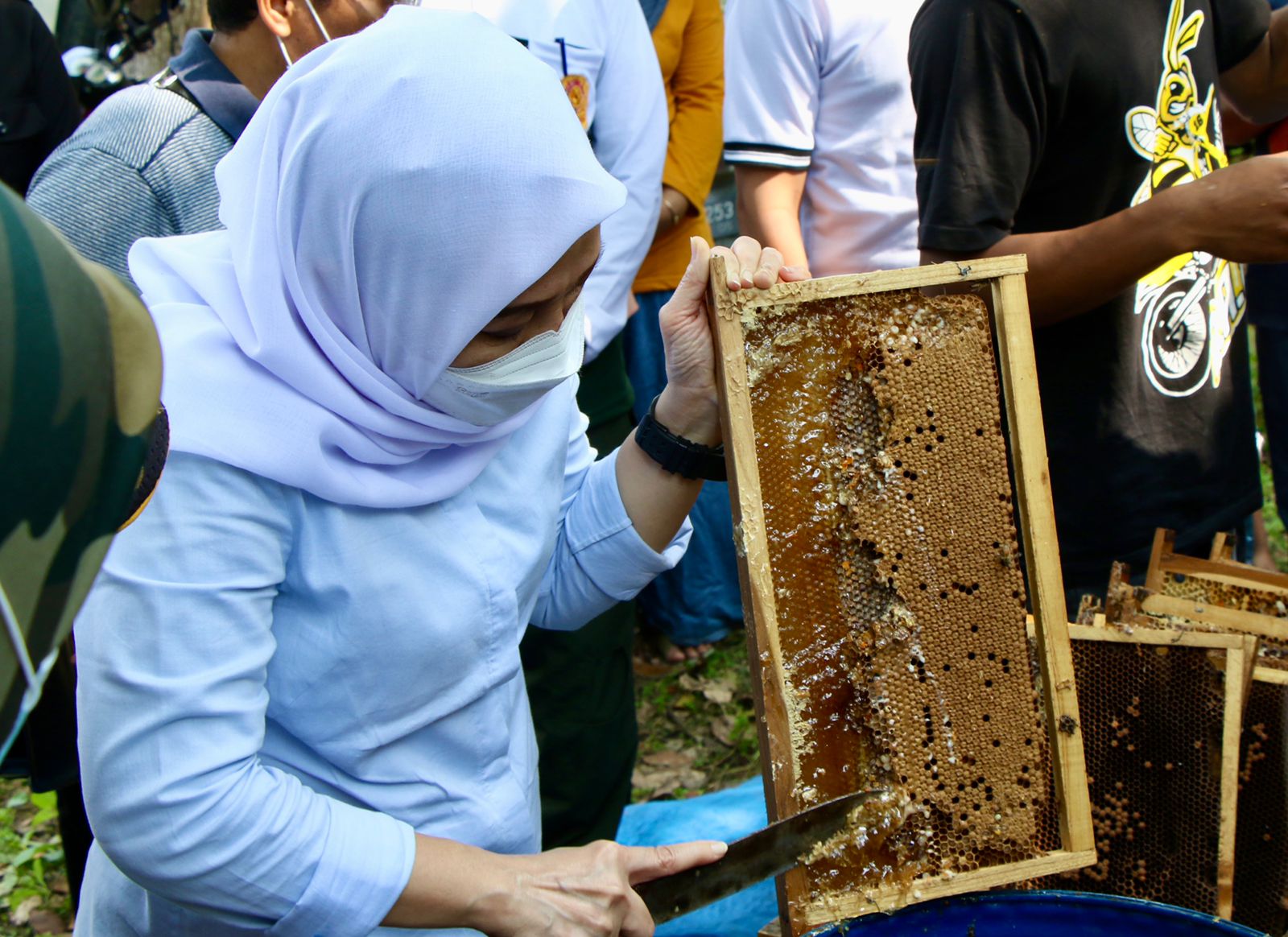 Bupati Bojonegoro Kunjungi Panen Serta Perkenalkan Produk Madu Lokal Asli Bojonegoro
