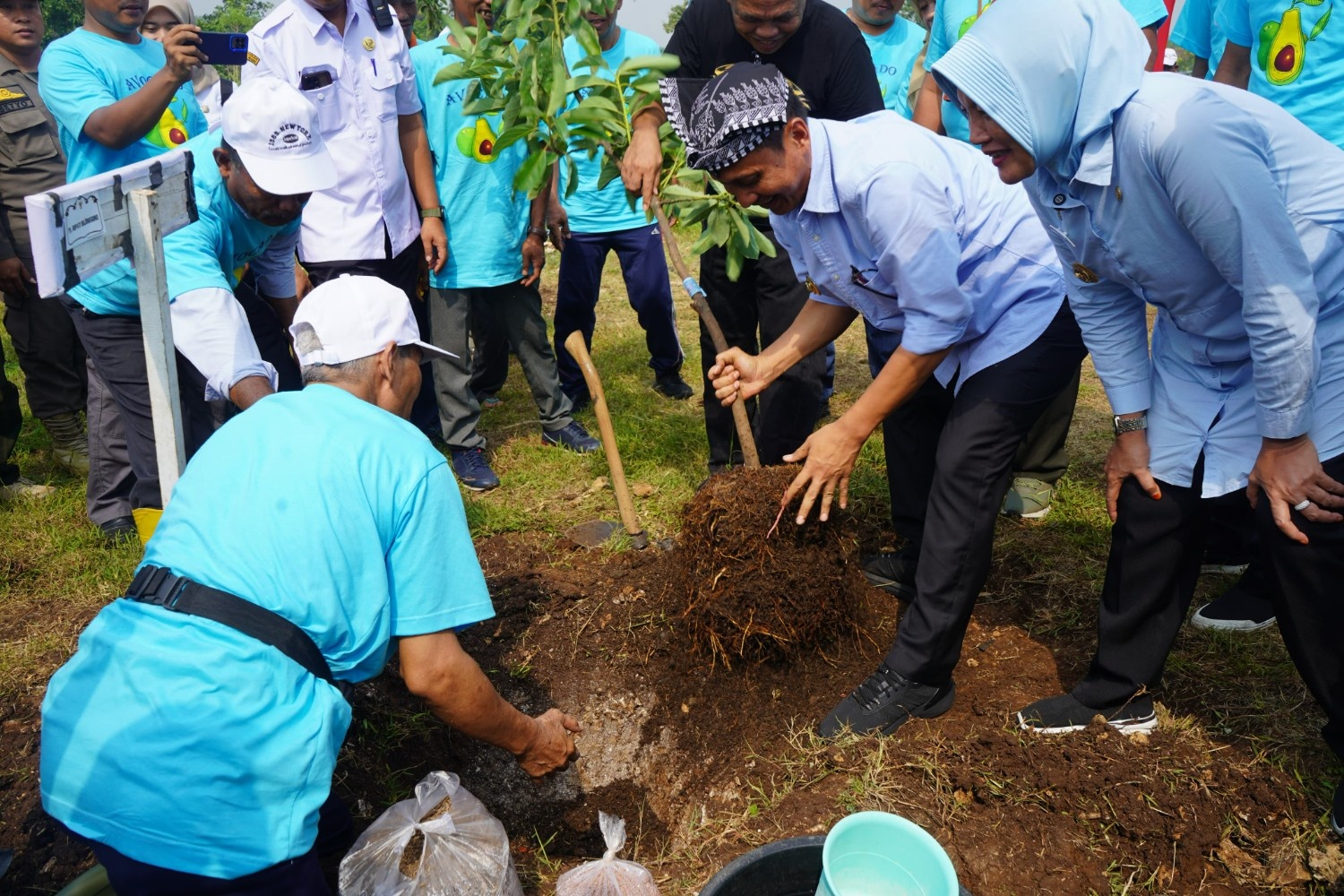 Tanam Alpukat, Bupati Harapkan dapat Memberikan Manfaat untuk Masyarakat dan Lingkungan Lebih Lestari