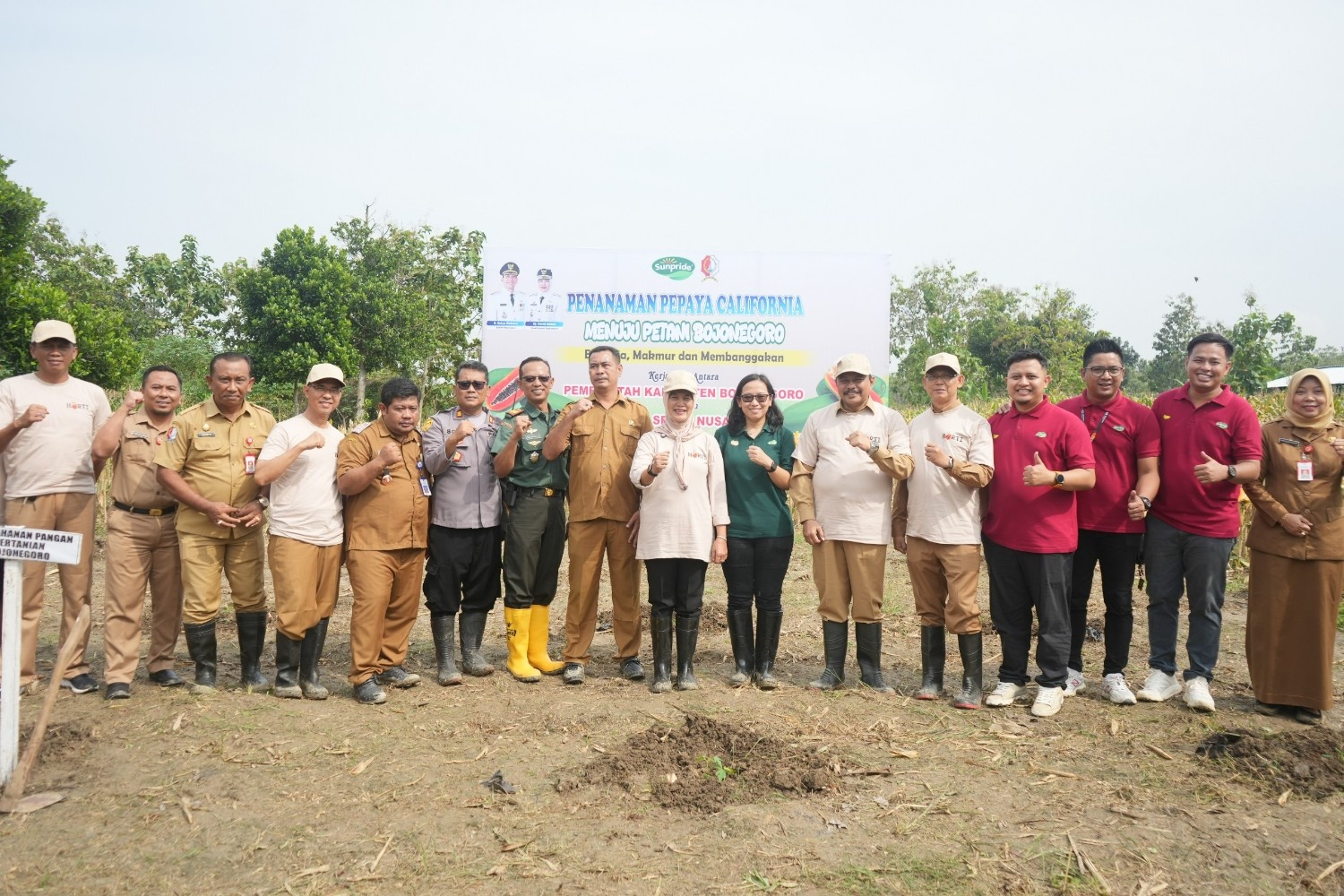 Tanam Perdana Pepaya California di Kecamatan Malo: Pemkab Bojonegoro Gandeng PT Sewu Segar Nusantara untuk Tingkatkan Kesejahteraan Petani