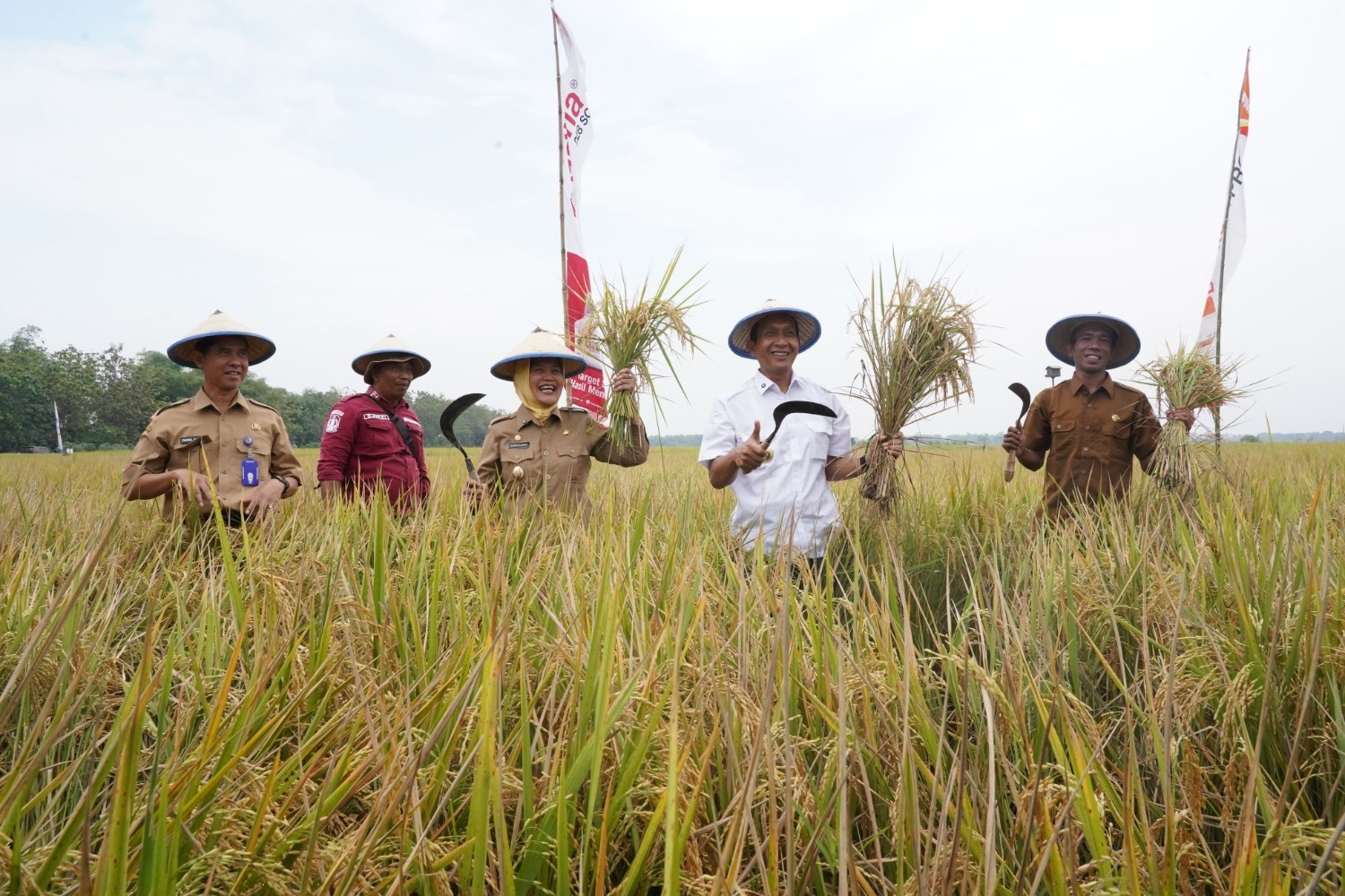 Pertanian Prioritas Utama, Bojonegoro bertekad Jadi Produsen Padi Terbesar Kedua Jatim
