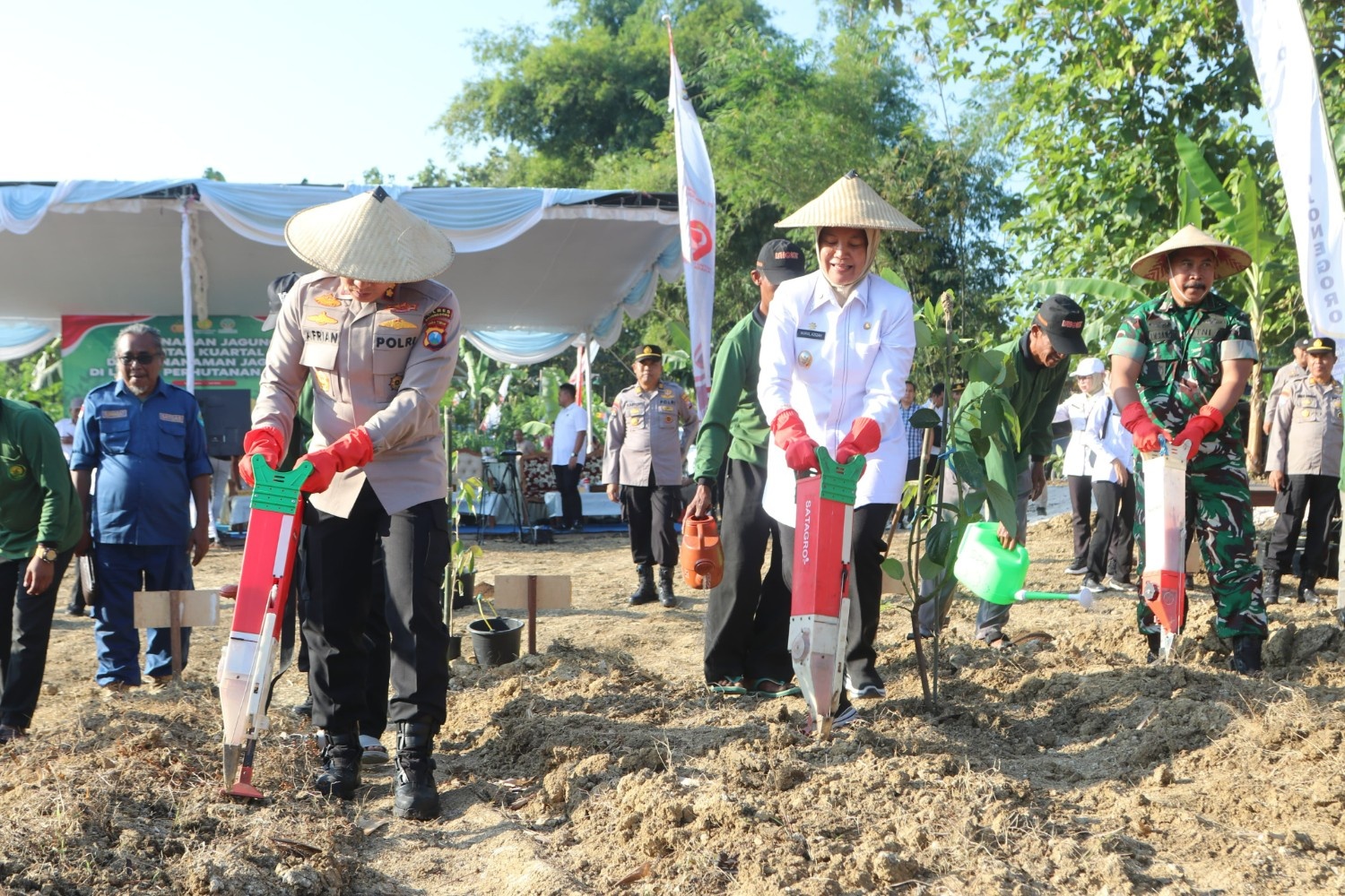 Wujudkan Swasembada Pangan, Pemerintah Kabupaten Bojonegoro Ikut Sukseskan Penanaman Jagung Serentak Kuartal III