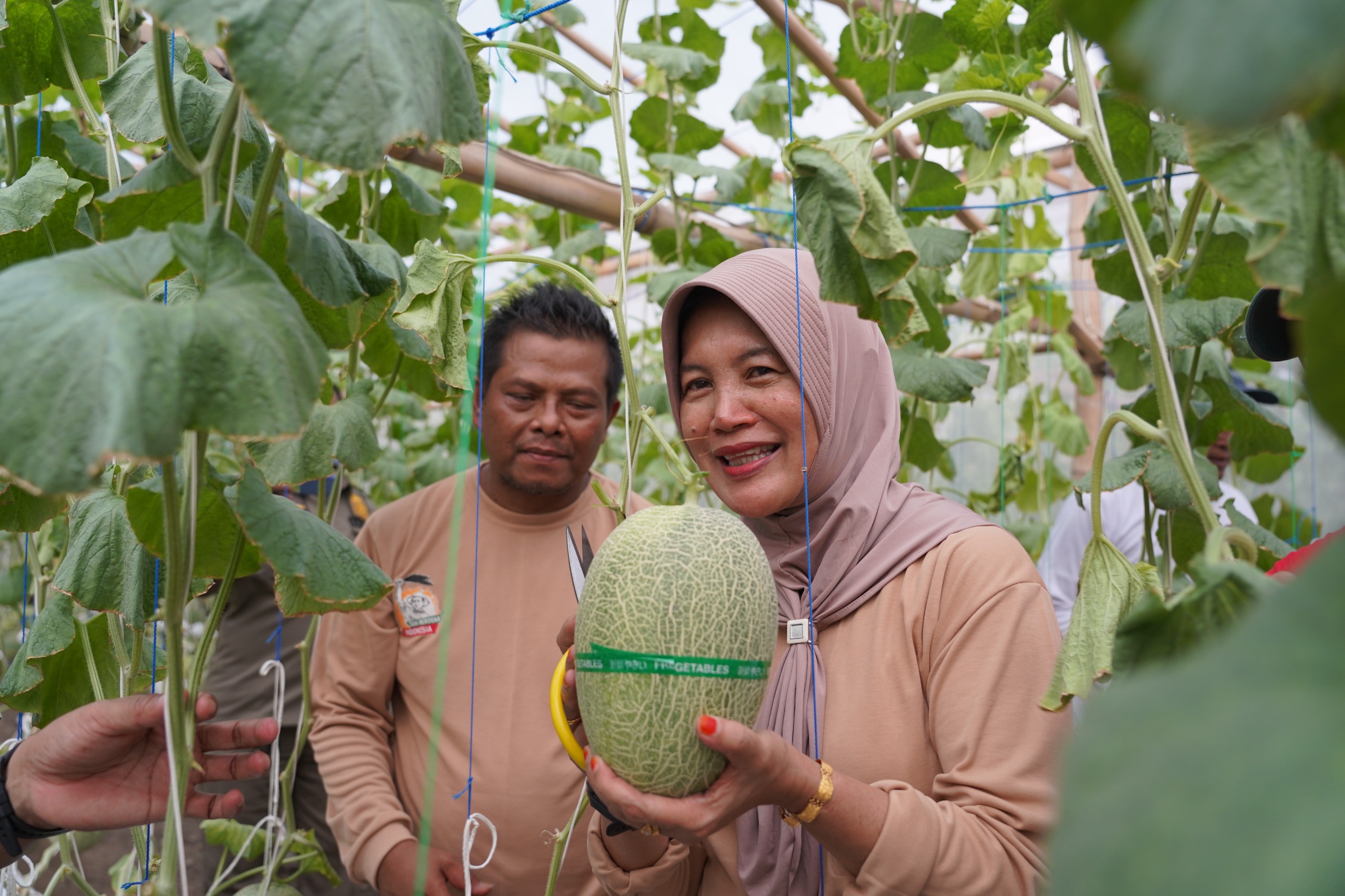 Apresiasi Wakil Bupati Bojonegoro, Tak Mau Ketinggalan jadi Konsumen Pertama  Petik Melon