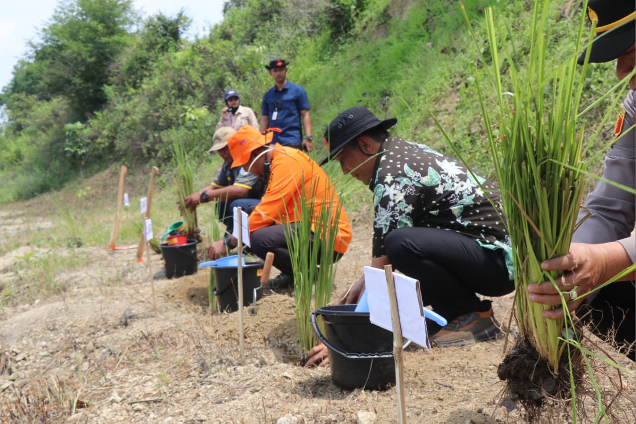 Vetiver sebagai Tembok Hidup, Bupati Setyo Wahono Perkuat Mitigasi Bencana