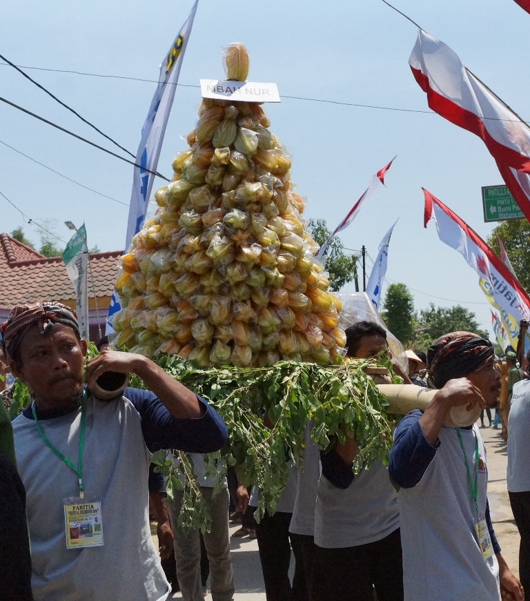 Festival Belimbing 2014