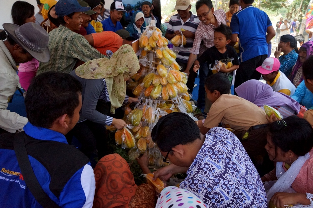 Festival Belimbing 2014