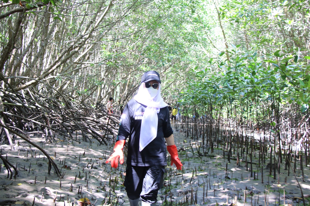 Nandur Mangrove