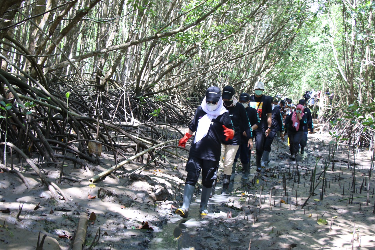 Nandur Mangrove